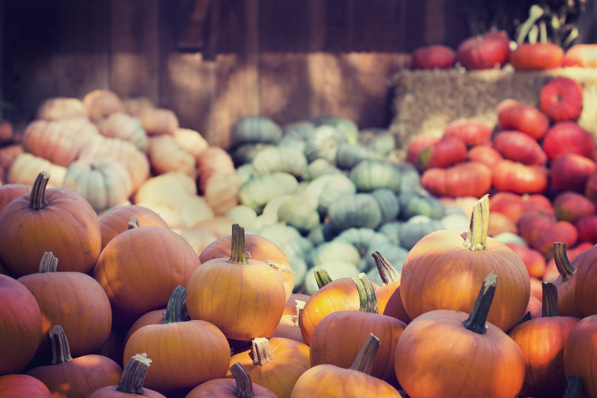 8 Different Pumpkin Seeds Benefits For Health