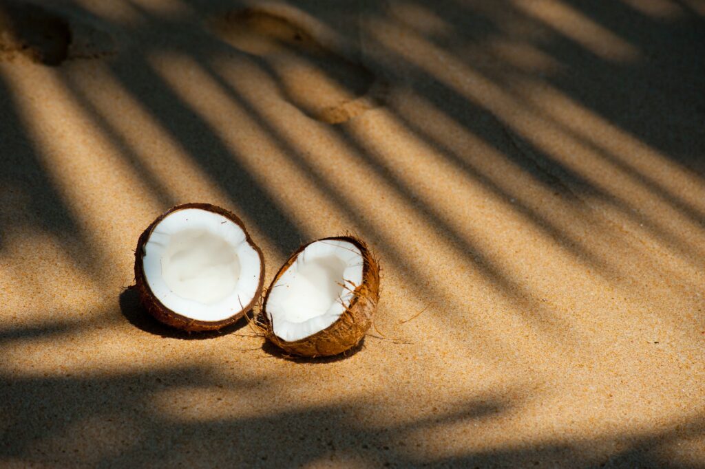 Opened coconut on sand 